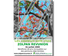 Affiche publicitaire - Zolpan Revunion - couleur